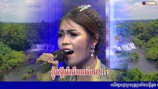 ស្នេហ៍ក្រោមម្លប់ជ្រៃ||សុវត្តិឌី ធារិកា