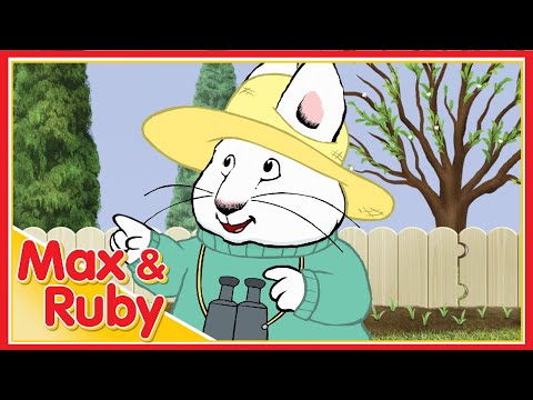 Max & Ruby: Engineer Max / Max’s Toy Train / Max’s Train Ride - Ep. 65 ...