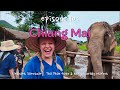 Travel Vlog | Ep 10: Chiang Mai 🇹🇭 Elephant Sanctuary, Tha Phae Gate & the Saturday Market!