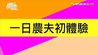 食尚玩家 就要醬玩【嘉義】一日農夫來報到 20160719(完整版)