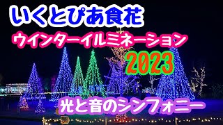 2023年12月4日 いくとぴあ食花ウィンターイルミネーション  光と音のシンフォニー 新潟市中央区