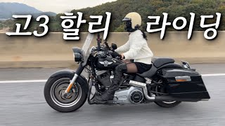 과로한 다음날, 고3 할리 여라의 최후..🩸우리 동네 꽃밭 라이딩~ | Harley-Davidson