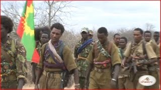 Oromo Liberation Front Army (WBO)