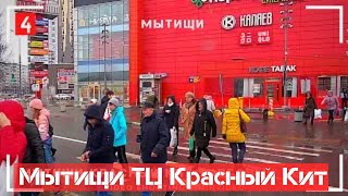 Мытищи Красный Кит Торговый Центр -4 SONY FDR-AXP55 Mytishchi shopping center 购物中心 쇼핑센터 ziminvideo