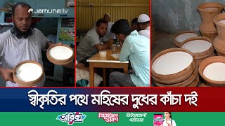 ভোলার মহিষের দুধের কাঁচা দই, পাচ্ছে জিআই পণ্যের স্বীকৃতি | Bhola Yogurt GI | Jamuna TV