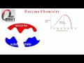 amino acids 11. enzyme lock and key mechanism and influence of temperature and ph on their activity.