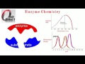 amino acids 11. enzyme lock and key mechanism and influence of temperature and ph on their activity.