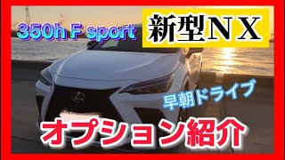 新型ＮＸ　オプション紹介