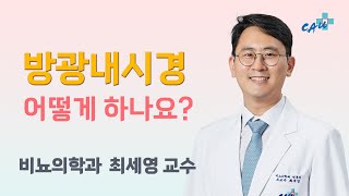 방광내시경 검사란 무엇인가요? [건강라이프플러스]