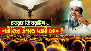 হযরত জিবরাঈল (আঃ) থেকে নবীজির উম্মত দামী কেন..?। তোফাজ্জল হোসেন ভৈরবী । tofazzal hossain bhaiorivi |