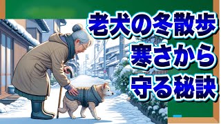 老犬の冬散歩：寒さから守る秘訣について獣医師がわかりやすく解説