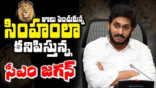 జూలు విదిల్చిన సింహంలా కనిపిస్తున్న జగనన్న..LockDown Effect For CM Jagan | Bezawada Media