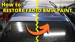 Restoring Sun-Faded Paint on my BMW at Home!