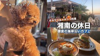 【湘南の休日】愛犬と行ける 海が見える鎌倉カフェレストラン【絶品タコライスと海の日没】