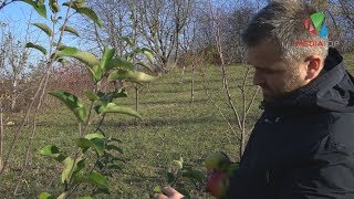 Покинув комфортний офіс, бо любив землю  Історія агронома Агрохолдингу «Мрія»LOGO