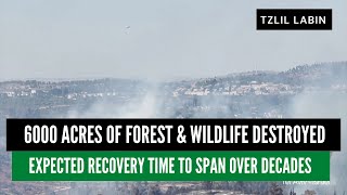 6000 acres of Jerusalem forest \u0026 wildlife destroyed- Tzlil Labin