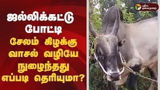 ஜல்லிக்கட்டு போட்டி.. சேலம் கிழக்கு வாசல் வழியே நுழைந்தது எப்படி தெரியுமா? | SALEM