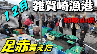 【雑賀崎漁港】１２月の雑賀崎はどんな魚が捕れているのでしょうか