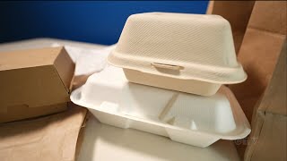 Single-use paper items aren't a fix for plastic waste: experts