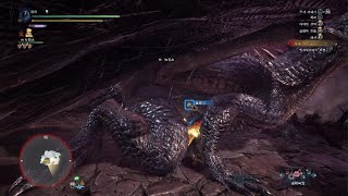 [MHW:IB] 특별 임무 흑룡 밀라보레아스 대검 플레이