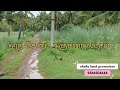 land for sale in ngo colony nagercoil. shafa land promoters