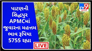 Mandi : પાટણની સિદ્ધપુર APMCમાં જુવારના મહત્તમ ભાવ રૂપિયા 5755 રહ્યા | Tv9News