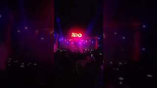 Zoominimal 2019