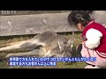 新型コロナの影響で来園者減少　赤穂市「動物ふれあい村」が閉鎖