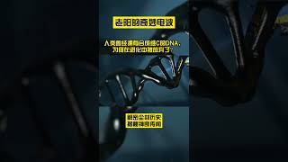 人类曾经拥有合成维C的DNA？为何在进化中被放弃了？