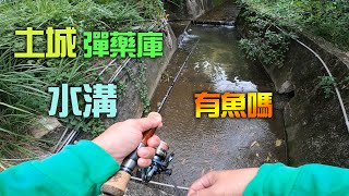 土城彈藥庫小水溝