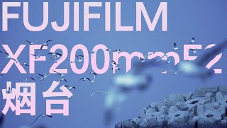 【邬七捌】FUJIFILM富士200定打鸟灵抓人稳X-H2s+XF200mmF2人文烟台