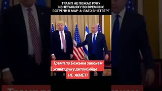 Трамп,по Божьим законам живёт!А что про это думает народ?! #shorts #сша #usa #израиль