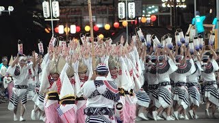 三大主流の一角「阿呆連」　～阿波おどり2019～　　Awa Odori “Ahou-ren”