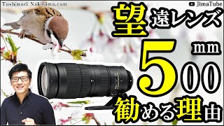 ニコン 望遠ズームレンズ カメラで野鳥撮影 Nikon AF-S NIKKOR 200-500mm f5.6E ED VR  純正 コスパ最強JimaTube194