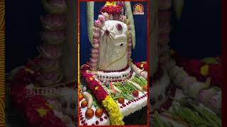 அன்னாபிஷேகம்  | சிவன் கோவில் |  annabhishekam 2024 #sivan #annabhishekam #deepamalai