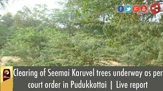 Clearing of Seemai Karuvel trees underway as per court order in Pudukkottai | Live report