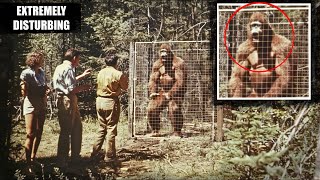 SASQUATCH CAPTURED And Held CAPTIVE | Don't Watch This If You Are Disturbed Easily... | #bigfoot