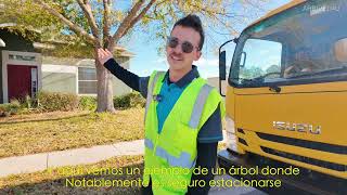 Road Safety Tips: Trees, Sand, and Mud.