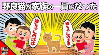 保護した野良猫に、家族を紹介する娘が可愛すぎるwww