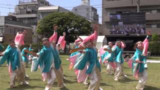 Kーone動流夢＠2013　湘南よさこい祭り