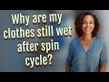 Why are my clothes still wet after spin cycle?