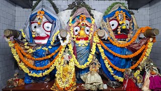 15-01-2025[ଶ୍ରୀ ଜଗନ୍ନାଥ ମଙ୍ଗଳ ଆରତୀ ]Jagannath Mangla arati #Jagannathtemple #puri