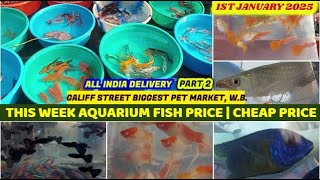 Galiff Street Sasti Aquarium Fish MarketKolkata| गालिफ़ स्ट्रीट सस्ती एक्वेरियम मछली मार्केट|29/12/24