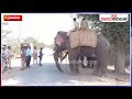 elephant search operation in haveri ಮೂರು ಆನೆಗಳಿಂದ ಕಾಡಾನೆ ಕಾಡಿಗಟ್ಟಲು ಕಾರ್ಯಾಚರಣೆ vijay karnataka