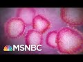 Covid-19 Survivor Becomes Advocate For Those Still Suffering | The 11th Hour | MSNBC