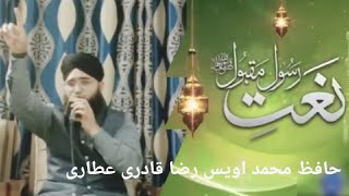 Beautiful Kalam in video By Hafiz Muhammad Owais Raza Qadri Attari