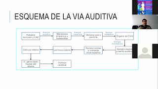 AUDIOLOGIA 1