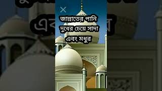 জান্নাতের পানি দুধের চেয়ে সাদা এবং মধুর চেয়ে মিষ্টি