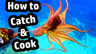 Tutorial - Hunting - How to Catch, Kill and Cook an Octopus softly (Recipes)