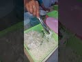 Bakso MDS di wae puteh Topoyo yangagi viral